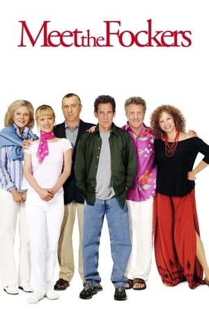 Meet the Fockers (2004) Hindi Dual Audio 480p BluRay 380MB